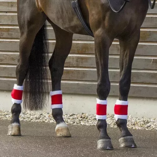 Primera imagen para búsqueda de vendas para caballos