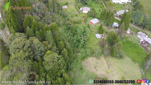 Imagen 11 de 14 de En Venta Lote Guarne Vereda La Brizuela 6.500m²