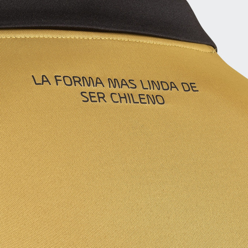 Imagen 7 de 7 de Tercera Camiseta Club Colo Colo 22/23 Gc4438 adidas