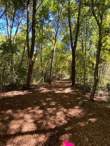Espectacular 10.838m2 Reserva Privada La Invernada Curico