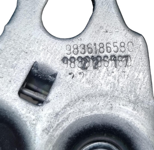Fechadura Capô C4 Cactus 2019 2020 2021 2022 2024 Original