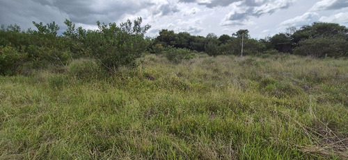 2 Solares En Alborada Barra De Brasil