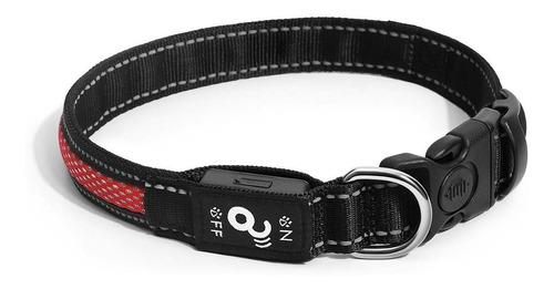 Collar Con Luz Led Recargable Para Perros Talla M (m)