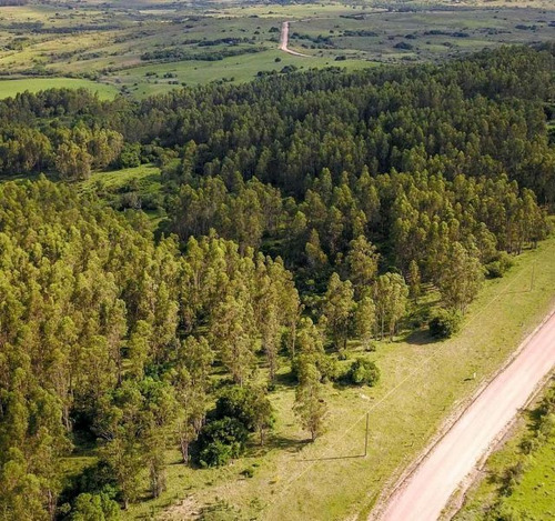 Campo En Venta