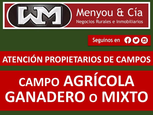 Venta Compra De Campo De 200has A 2500has Forestal Ganadero