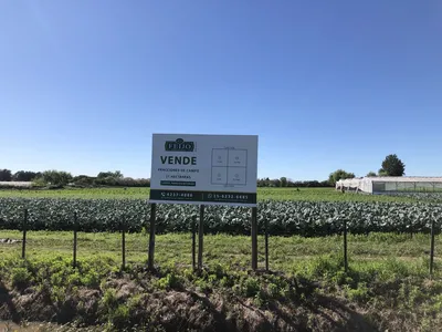 Campo en venta