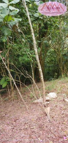 Chácara Para Venda Em Ribeirão Pires, Pilar Velho - 0003/2021_2-1163331
