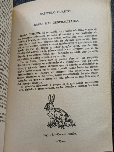 La Cría De Conejos: Reproducción, Alimentación, Engorde (Usado)