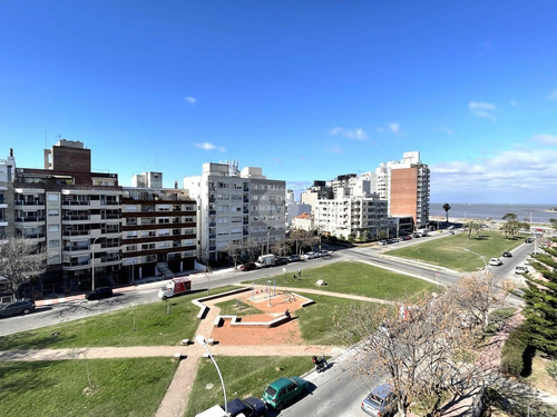 Imagen 12 de 16 de Venta Apartamento1 Dormitorio En Malvin