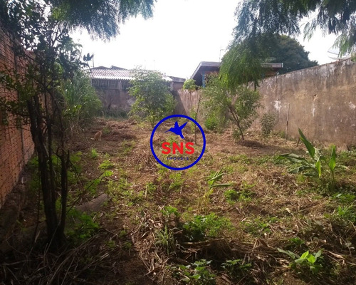 Imagem 3 de 3 de Terreno - Te00101 - 34439083