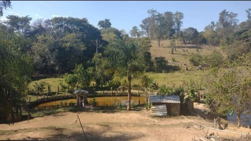 Imagem 3 de 19 de Pj Linda Chácara A Venda