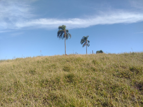 Imagem 9 de 18 de Vic20 - Vendo Terreno Em Santa Isabel Próximo Ao Centro De Igaratá