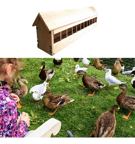 Comedero Para Palomas, Comedero Para Pájaros Con Ranuras,