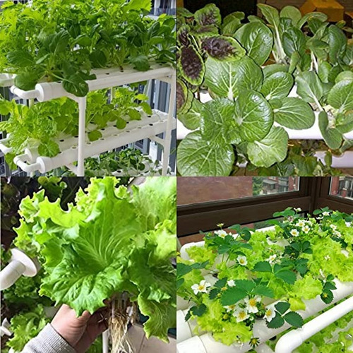 Kit Hidropónico Básico Para 108 Plantas - Cultivo En Casa