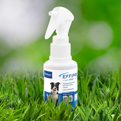 Antipulgas Carrapato Cães Gatos Effipro Spray 100ml + Brinde