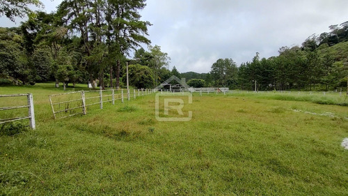 Imagem 26 de 30 de Mini Haras - 213 - 70588973