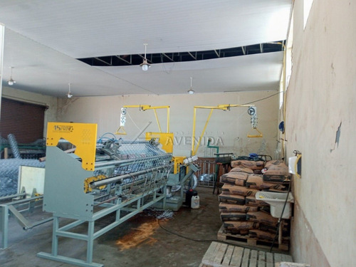 Imagem 8 de 14 de Terreno Comercial - Centro - Ref: 10130 - V-10130