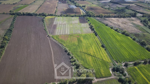 Predio De 87.8 Ha Con Derecho De Agua Y Acceso Asfaltado