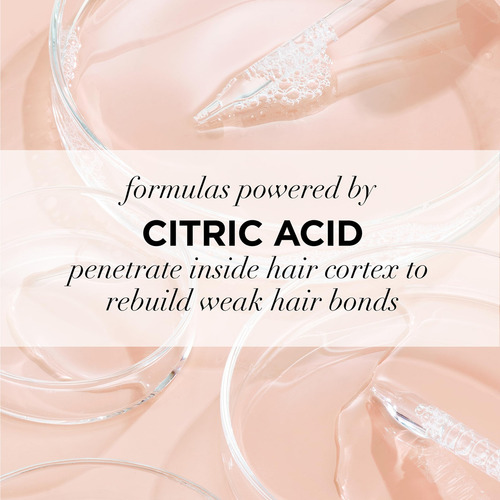 L'oreal Paris Everpure Sulfate Free Bond Repair Pre Champú T