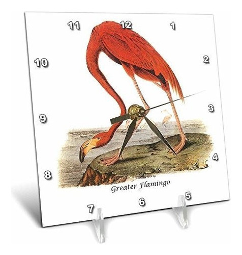 3drose Dc 114101 1 Greater Flamingo De John James Audub