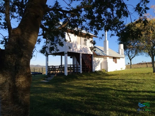 Imagen 2 de 20 de Vendo Chacra 5 Hectateas Con Casa En Ruta 39, Las Cañas - Las Cañas Las Cañas