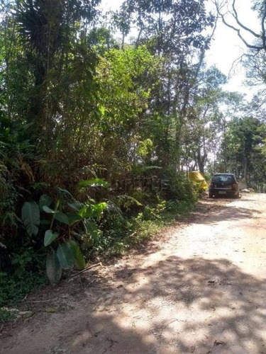 Imagem 2 de 2 de Terreno À Venda, 1387 M² Por R$ 75.000,00 - Estância Alto Da Serra (ouro Fino Paulista) - Ribeirão Pires/sp - Te0078