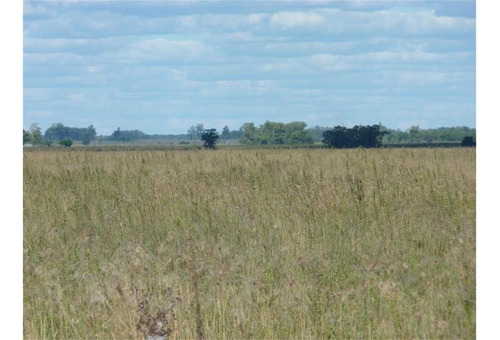 Imagen 10 de 12 de Campo Agrícola - El Redomon