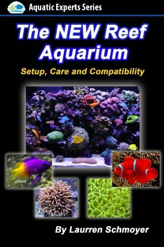 The New Reef Aquarium Setup, Care And Compatibility (+ Free 