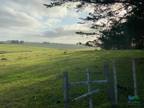 Precioso Campito A 15 Minutos Del Mar Y Sobre Asfalto, Desestresate !