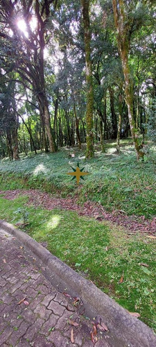 Imagem 2 de 16 de Terreno A Venda - 1081