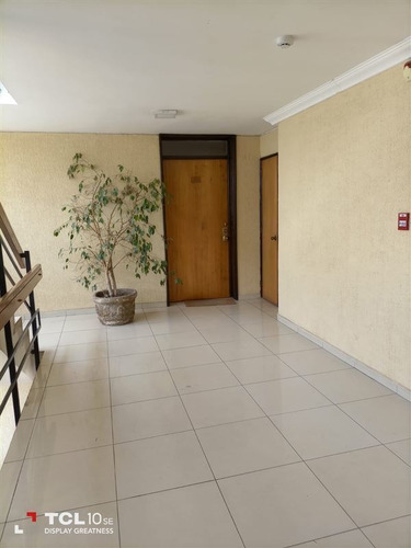 Imagen 5 de 30 de Gran Penth-house Colon/vaticano