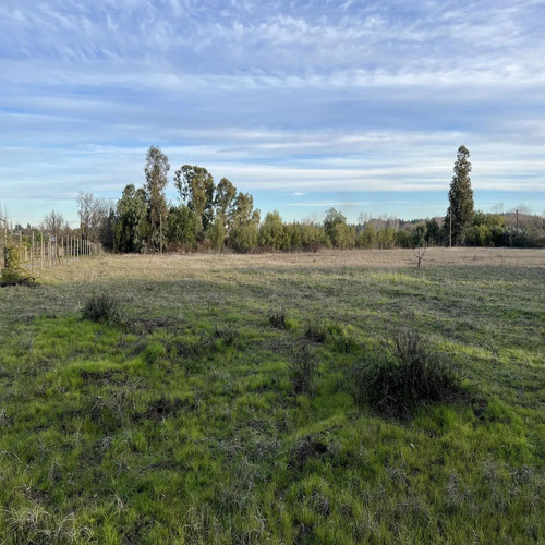 Quillón Terreno Parcela Península Laguna Avendaño 7700m2