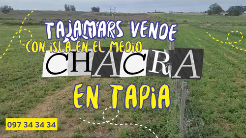 Sucesos Vende Hermosa Chacra  De 3 Has En Camino La Paloma A 8 Km De San Jacinto Y A 2 Km De Tapia