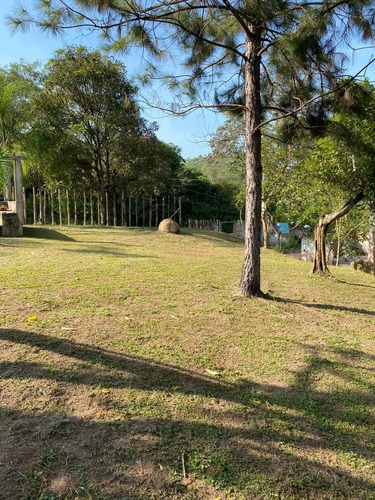 Imagem 5 de 7 de Terreno A Venda Em Suzano (palmeiras)
