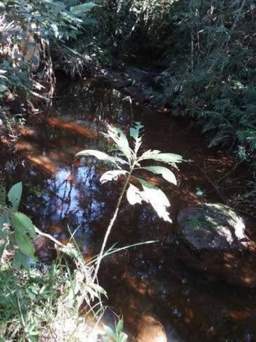 Imagem 9 de 15 de Chácara Venda Natividade Da Serra - Sp - Pouso Alto - 3814