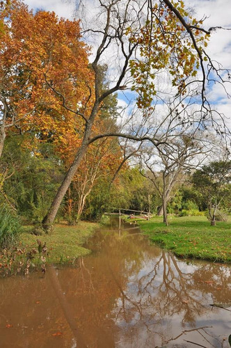 Imagen 24 de 28 de Venta De Casa En Arroyo Las Glorietas - Zona Delta Tigre