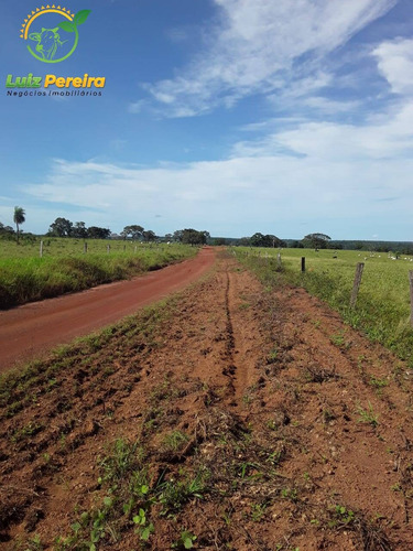 Imagem 6 de 8 de Fazenda À Venda No Vale Do Araguaia - To -4.260 Hectares (dupla Aptidão) - 2088