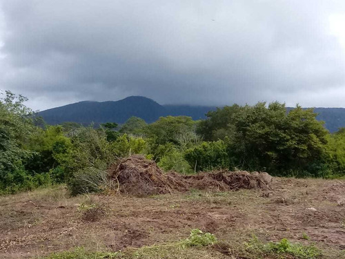 Chácara Top, Para Quem Busca Paz, E Lazer