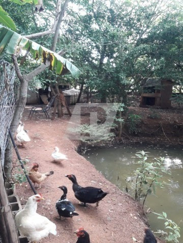 Imagem 12 de 15 de Chácara Convívio Andreia Bairro Godinho - Ch00107 - 69274211