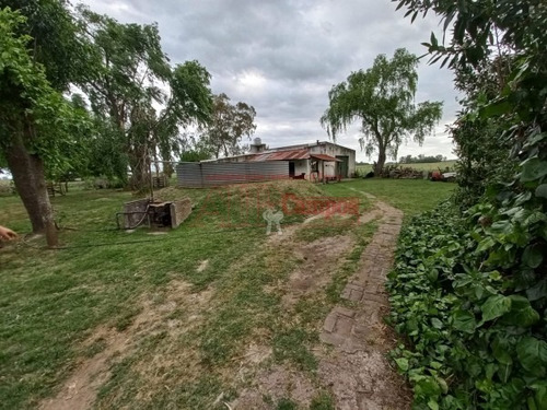 Imagen 27 de 30 de Venta De Campo De 21 Has Entre Jeppener Y Ranchos
