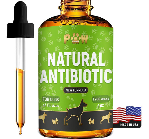 Antibióticos Naturales Para Perros - Antibióticos Para Perro