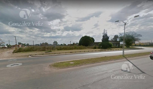 Imagen 6 de 7 de Terreno - Carmelo