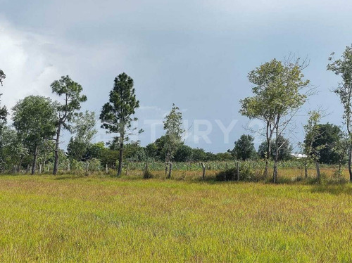 En Venta, Lotes Terrenos, En Comitan De Dominguez