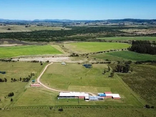 Imagen 21 de 23 de 5 Has Con Gran Casa A 15 Minutos De Punta - Zona Rural Sierra De Los Caracoles