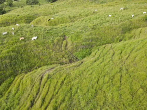 Lote En Venta En Yurupary. Cod V12710