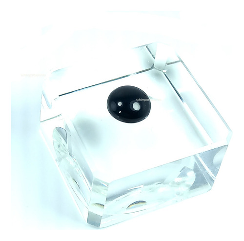Ombliguera Obsidiana Natural Reiki, Chakras Varanasi - 1 Cm