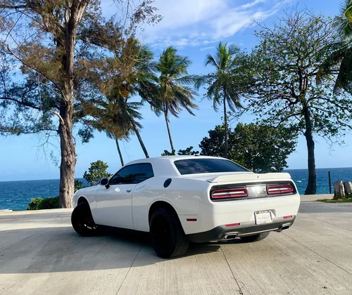 Dodge Challenger 2019 Sxt