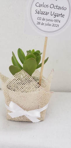 Imagen 3 de 6 de Cactus Y Suculentas Personalizadas, Recuerdos, Detalles