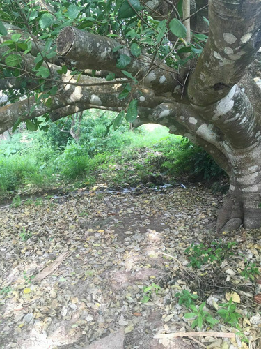 Imagen 9 de 14 de Terreno En Uninajab A Un Lado De La Zona Turística Con Vista