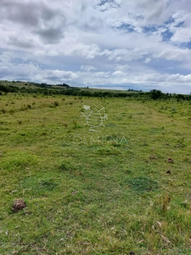Campo 11 Has Con 683 M2 En Paraje Pueblo Eden